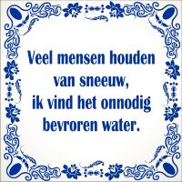 Ben je op zoek naar Fun cadeau Gadget