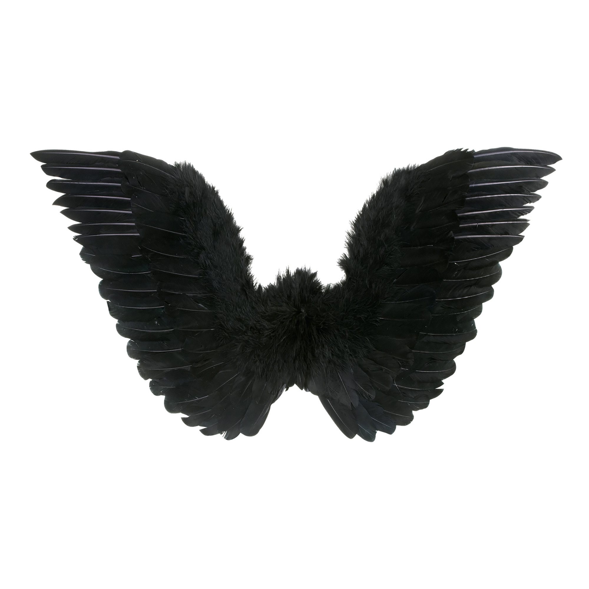 Gevederde vleugels zwart 86x31 cm
