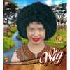 foto 2 Pruik afro kind 