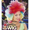 foto 2 Punky pruik multikleuren