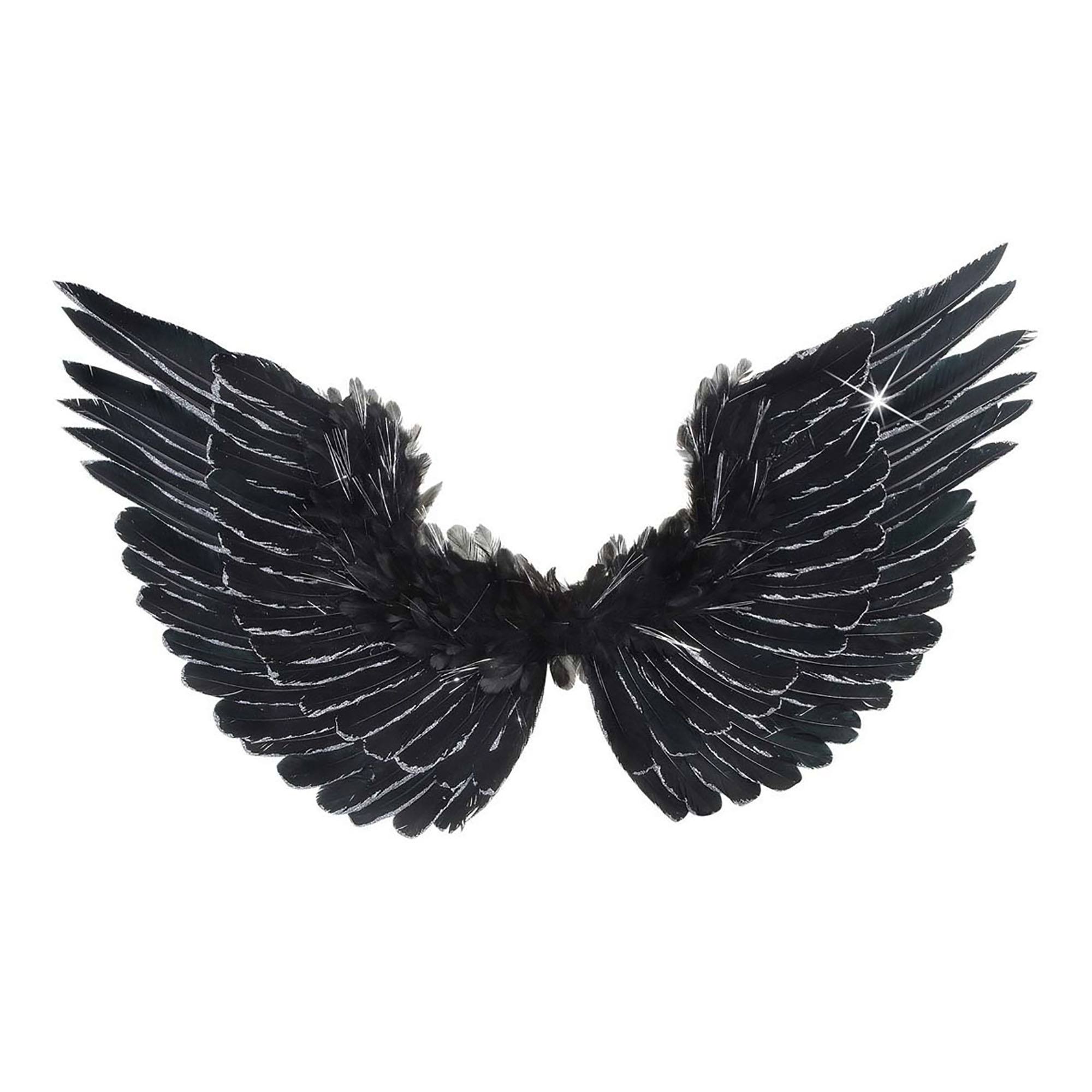 Vleugels zwart met zilver Glitter 86X42Cm