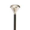 foto 2 Wandelstok met diamant