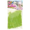 foto 2 Zakje met 50 veertjes groen