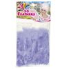 foto 2 Zakje met 50 veertjes paars