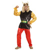 foto 4 Asterix de gallier kostuum volwassen