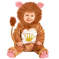 Baby leeuwtje leeuwen pakje the lion Baby leeuwtje leeuwen pakje the lion