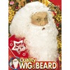 foto 2 Breng de magie van kerst tot leven met deze kerstman pruik en baard