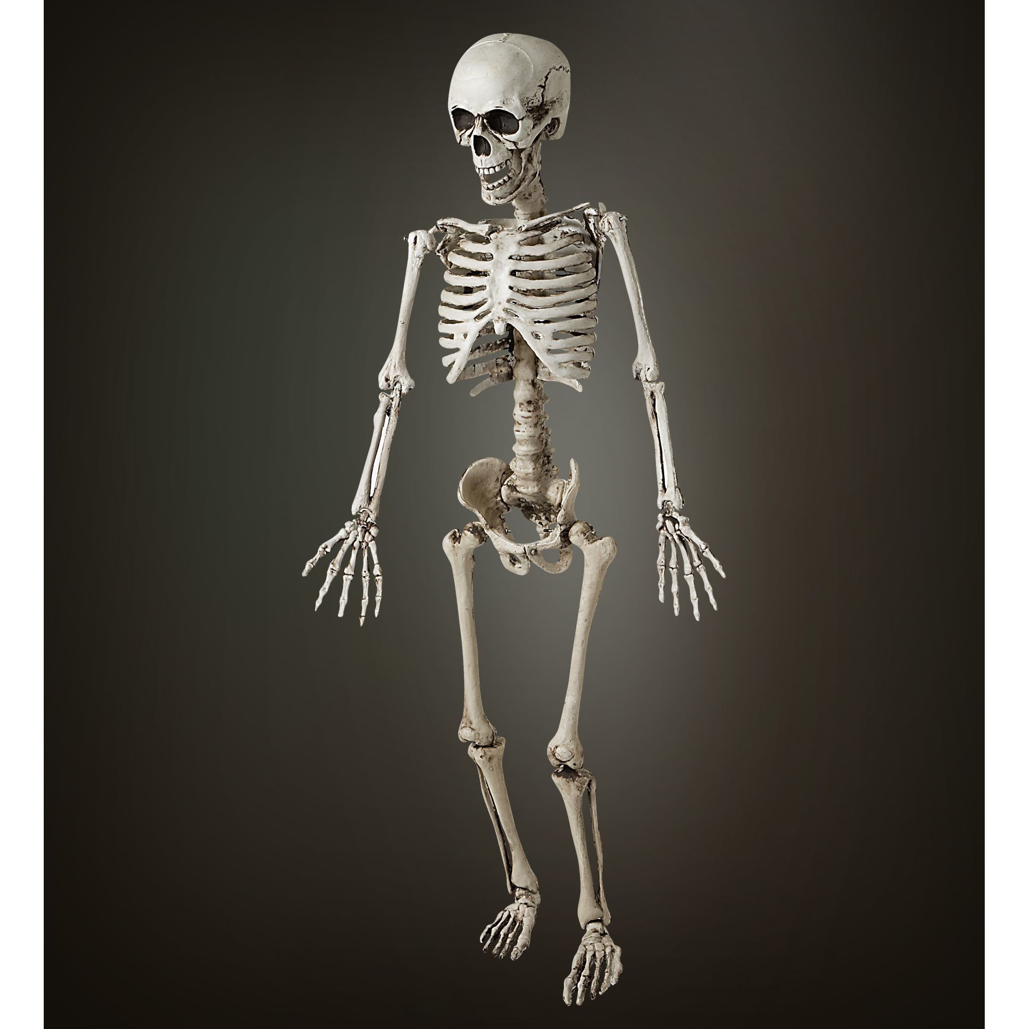 Skelet deluxe geraamte uitvoering 120 cm