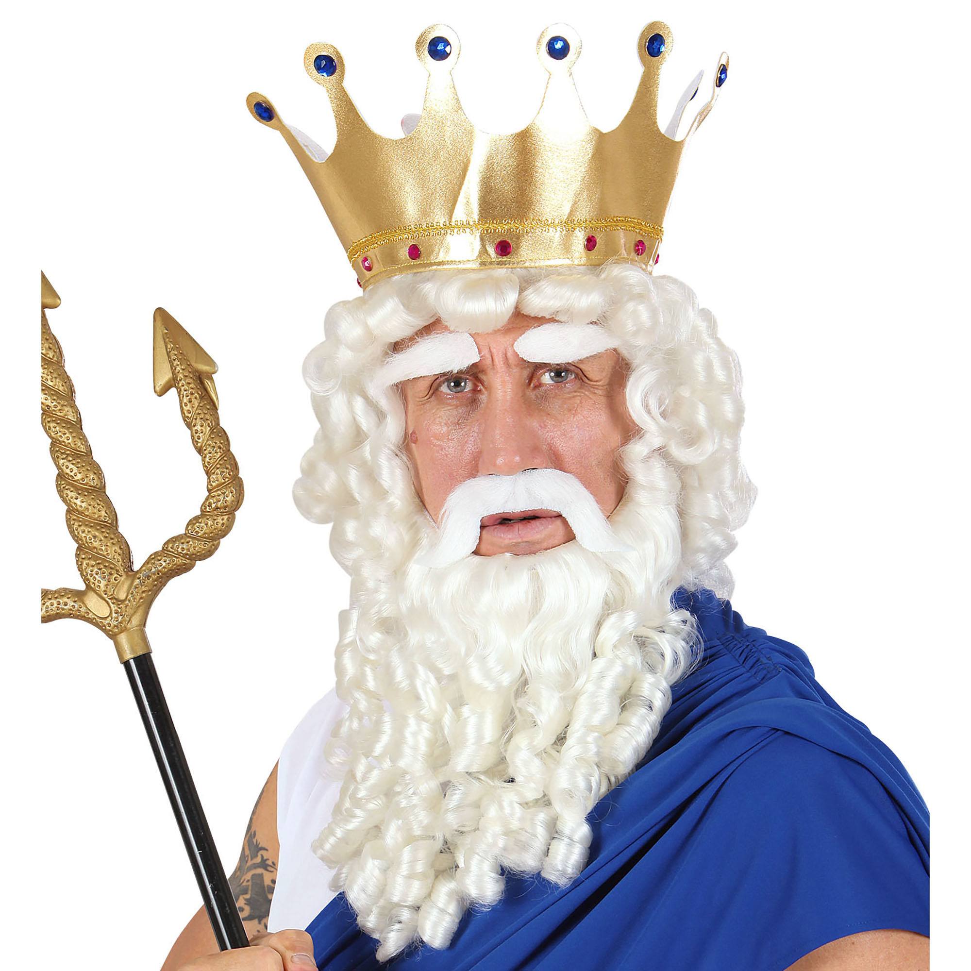 Transformeer in Zeus pruik met baard snor en wenkbrauwen