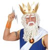 foto 3 Transformeer in Zeus pruik met baard snor en wenkbrauwen