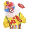 foto 3 Make up set clown 