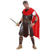 foto 4 gladiator herculus heren