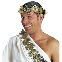 Gouden griekse Lauwer krans goud Laurierblad Gouden griekse Lauwer krans goud Laurierblad