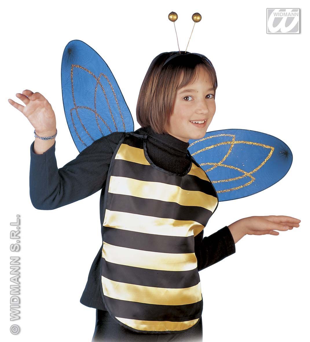 Bijen set vleugels en diadeem kind