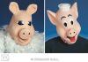 Masker varken