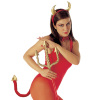 foto 3 duivel set diadeem met hoorns en staart