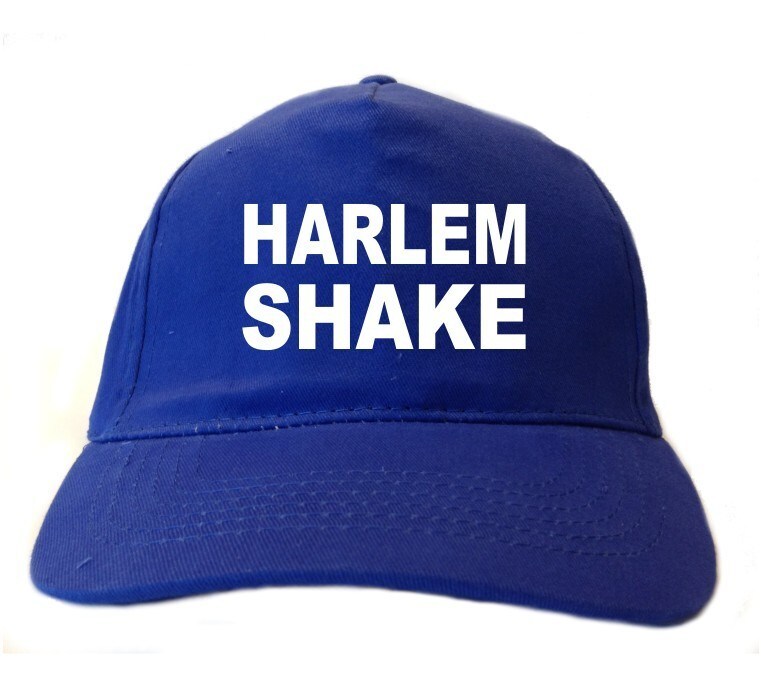 Harlem shake pet
