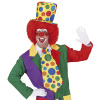 foto 4 Hoge hoed clown met leuke stippen in diverse kleuren