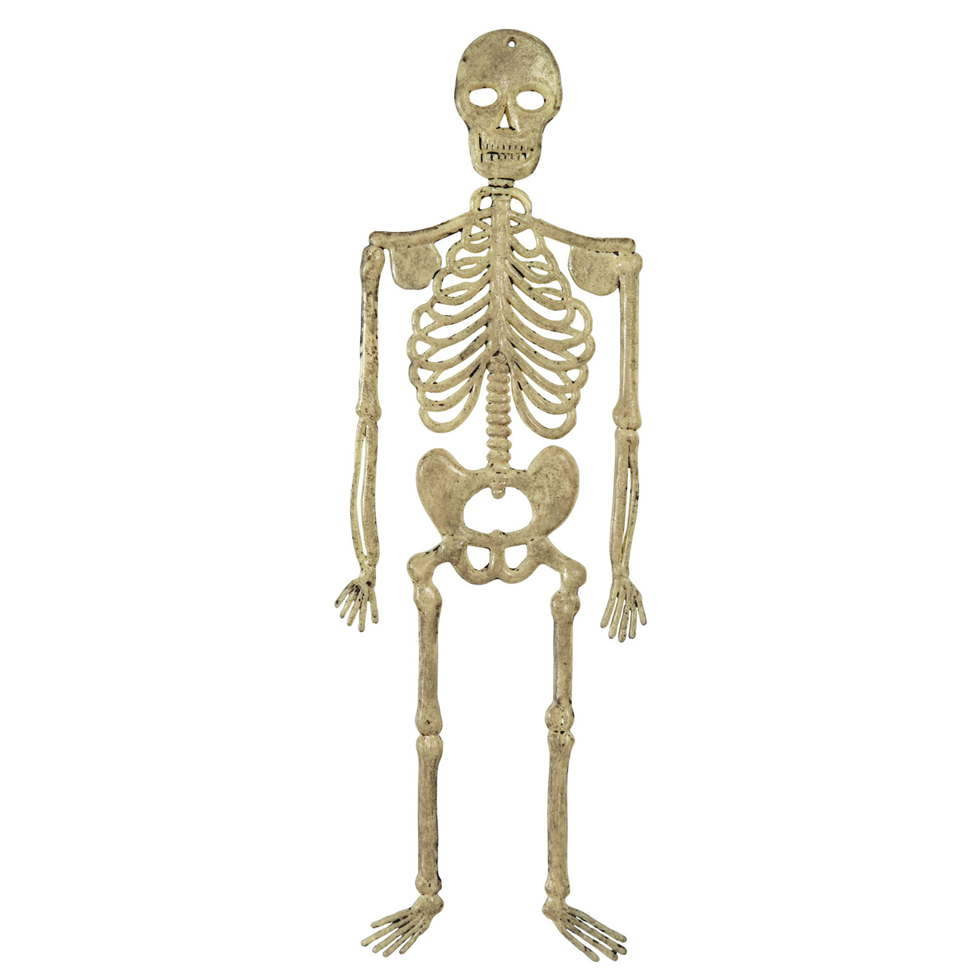 skelet 32cm