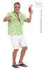 foto 6 Hawaii blouse groen