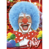 foto 2 Pruik clown blauw