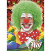 foto 2 Pruik clown groen