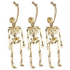 Set van 3 skeletten 15cm 
