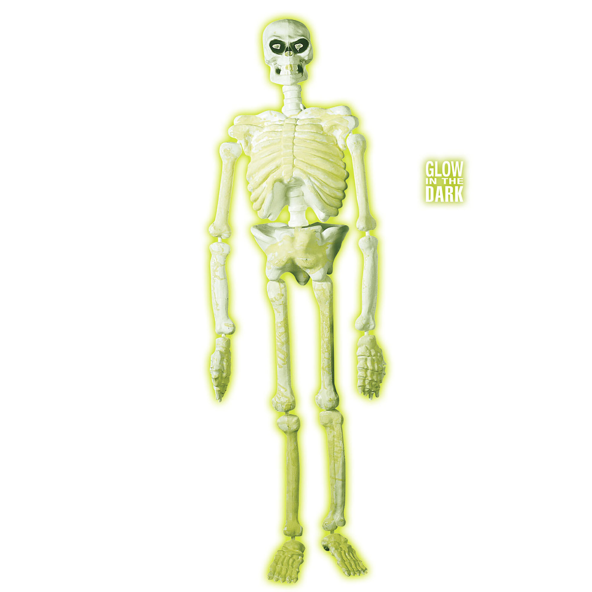 Plastic skelet geraamte 150 cm 3d