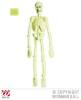 foto 2 skelet geraamte 90 cm glow in the dark labaratorium