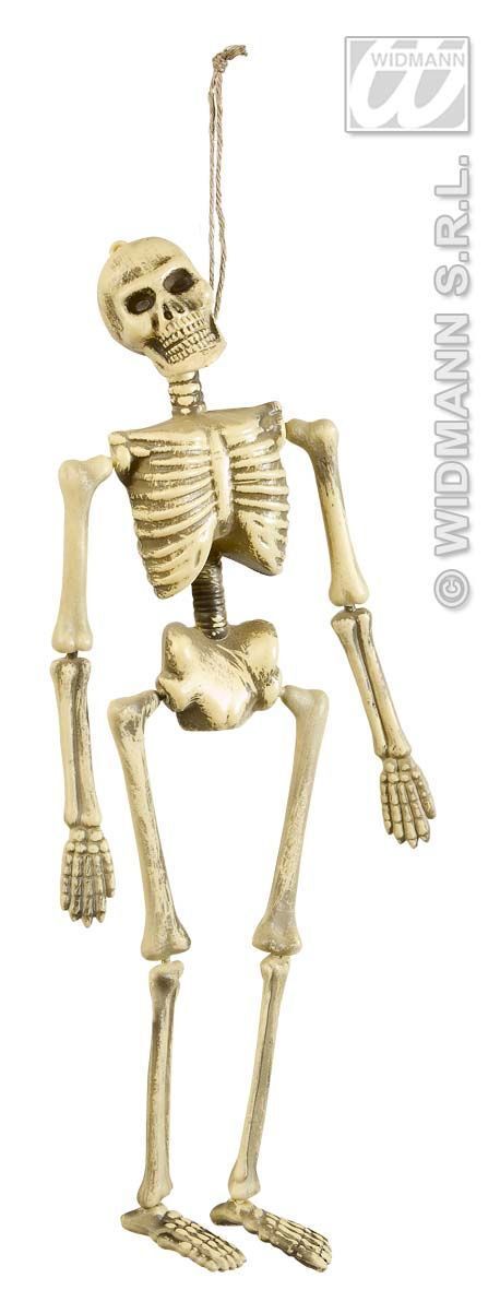 skelet 40cm