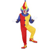 foto 3 Clown volwassen jumpsuit en clownshoed