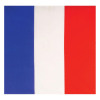 foto 1 bandana van de Franse vlag