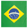 foto 1 bandana van de vlag van Brazilie