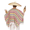 foto 3 mexicaanse poncho tequila volwassen