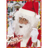 foto 2 pruik kerstman met baard en wenkbrouwen