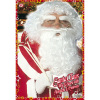 foto 2 Witte kerstmannen pruik met baard inclusief wenkbrouwen