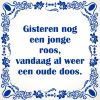 spreukentegel Gisteren nog een jonge roos vandaag al weer een oude doos.