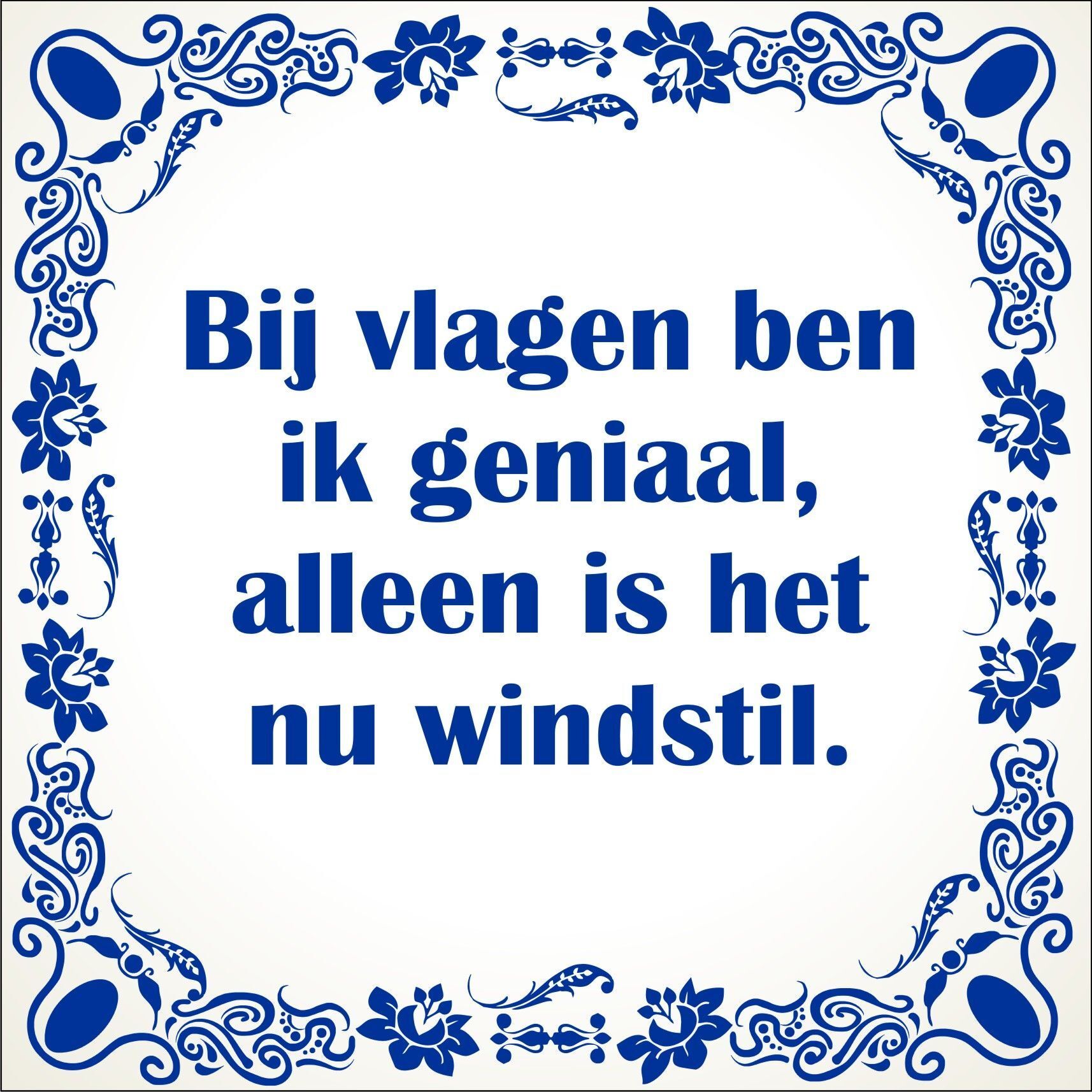 spreukentegel Bij vlagen ben ik geniaal alleen is het nu windstil