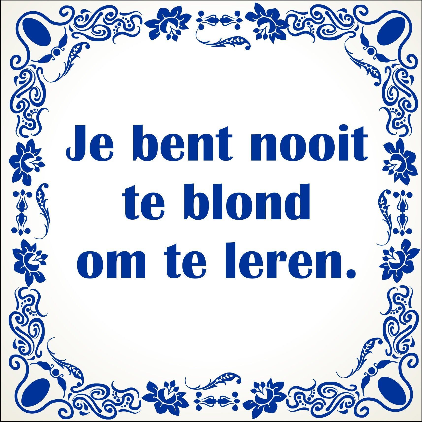 spreukentegel je bent nooit te blond om te leren