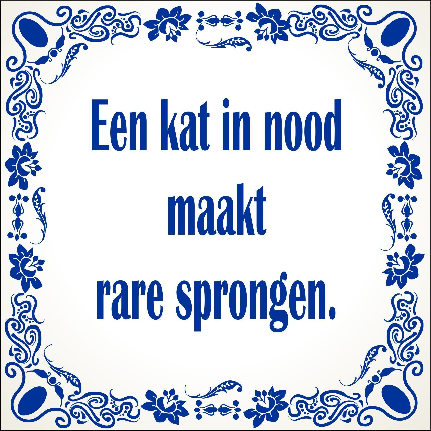 spreukentegel Een kat in nood maakt rare sprongen