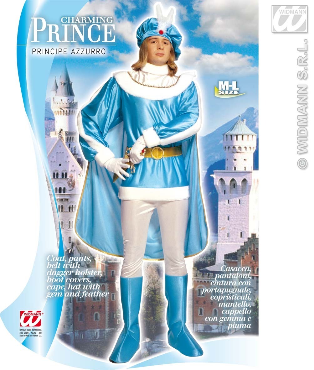 blauwe prins prinsen kostuum