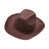 foto 2 cowboy hoed bruin  volwassen