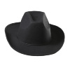 foto 2 cowboyhoed zwart wol volwassen