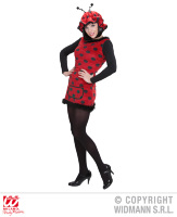 lieveheersbeestje  jurk plushe volwassen