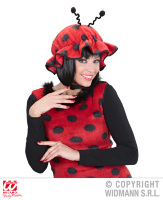 nagels lieveheersbeestje volwassen