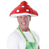 foto 4 paddenstoel hoed volwassen