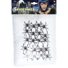 foto 2 Spinneweb jumbo 500 gram wit met 20 spinnen