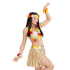 foto 5 Hawaii set tropische verrassing carnaval 2024