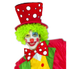 foto 3 Vlinder strik rood met witte stippen clown