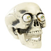 pvc schedel met echt lijkende ogen 21cm